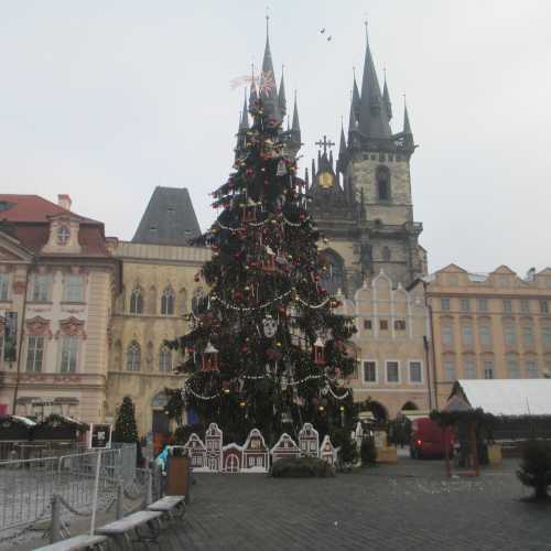 Прага. Новогодняя ёлка на Староместской площади на фоне Тынского храма. (01.01.2017)