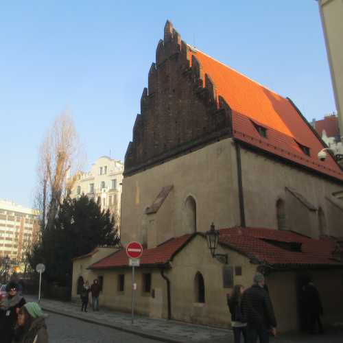 Прага. Старонова синагога. (01.01.2017)