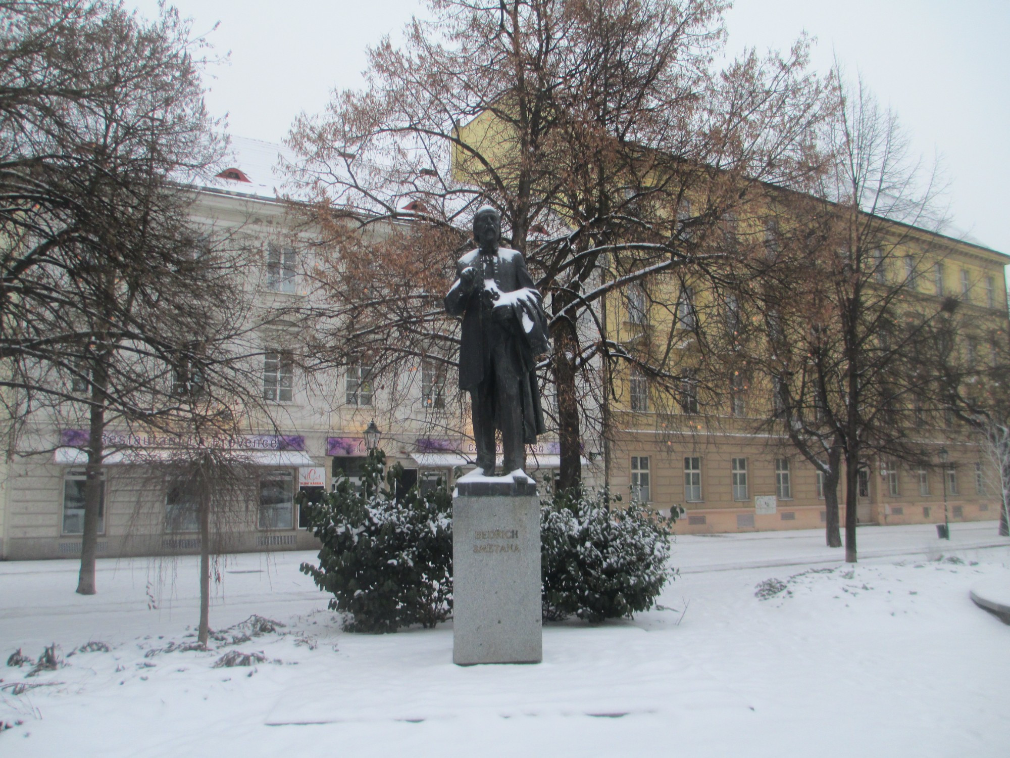 Пльзень. Памятник Бедриху Сметане. (08.01.2017)