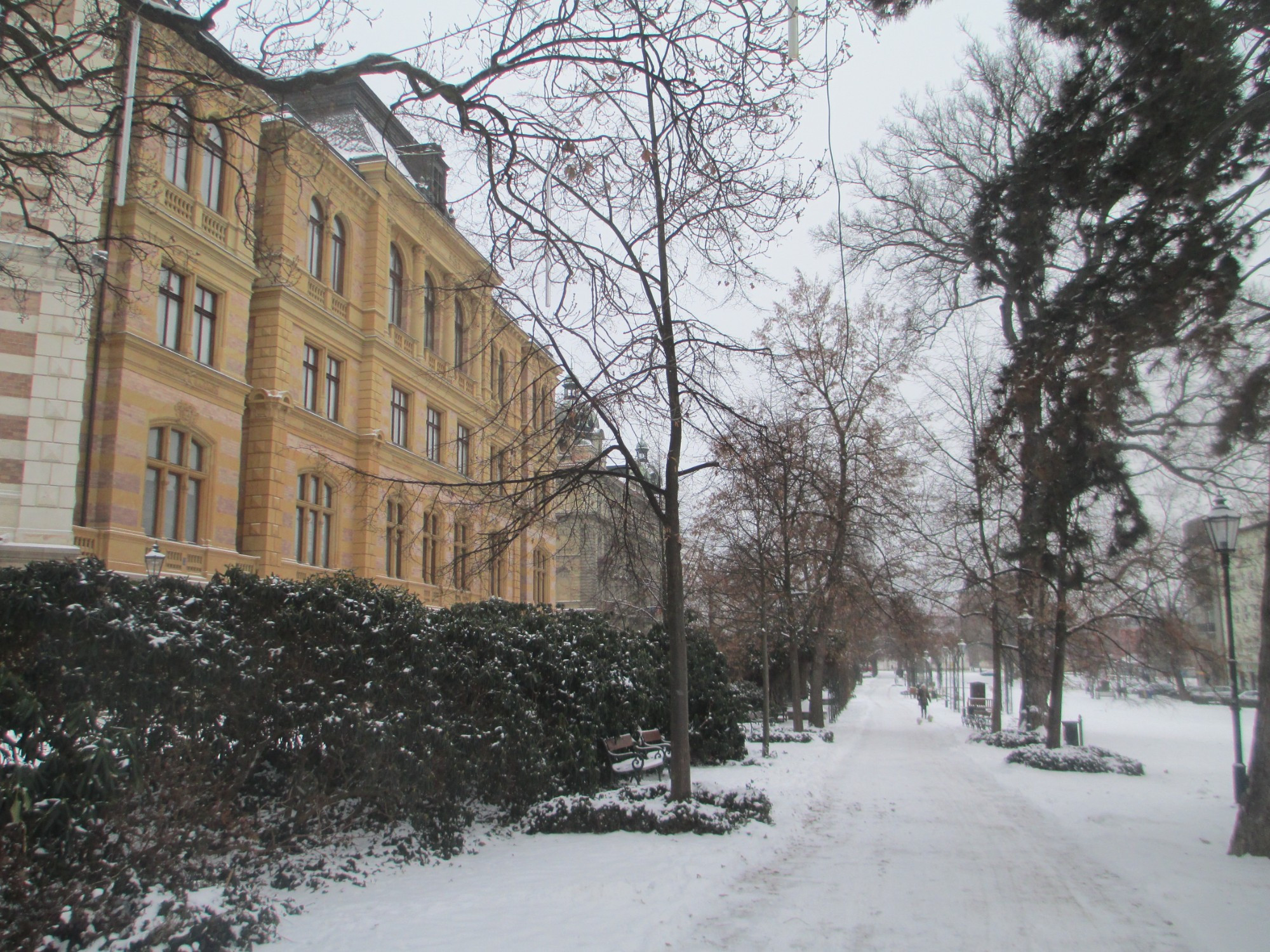 Пльзень. Парк Сафаржиковы сады. (08.01.2017)