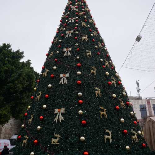 Вифлеем. Рождественая Ёлка на Ясельной площади. (06.01.2023)