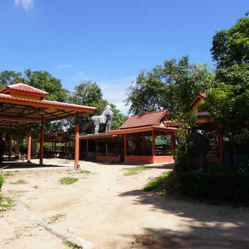 Паттайя. Сафари-парк «Чангтай Тхаппрайя». (01.11.2023)