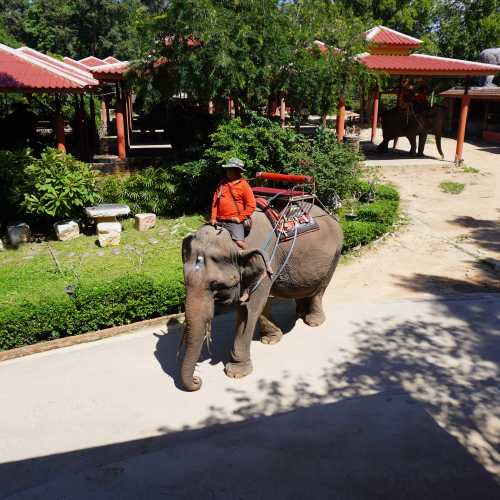 Паттайя. Сафари-парк «Чангтай Тхаппрайя». (01.11.2023)
