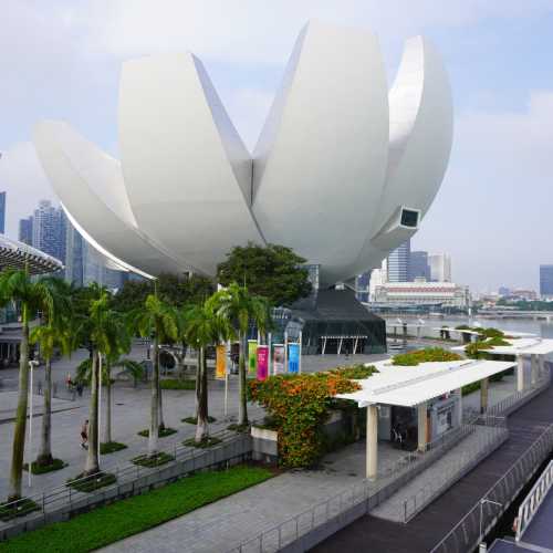 Сингапур. Музей искусства и науки. (11.01.2024)