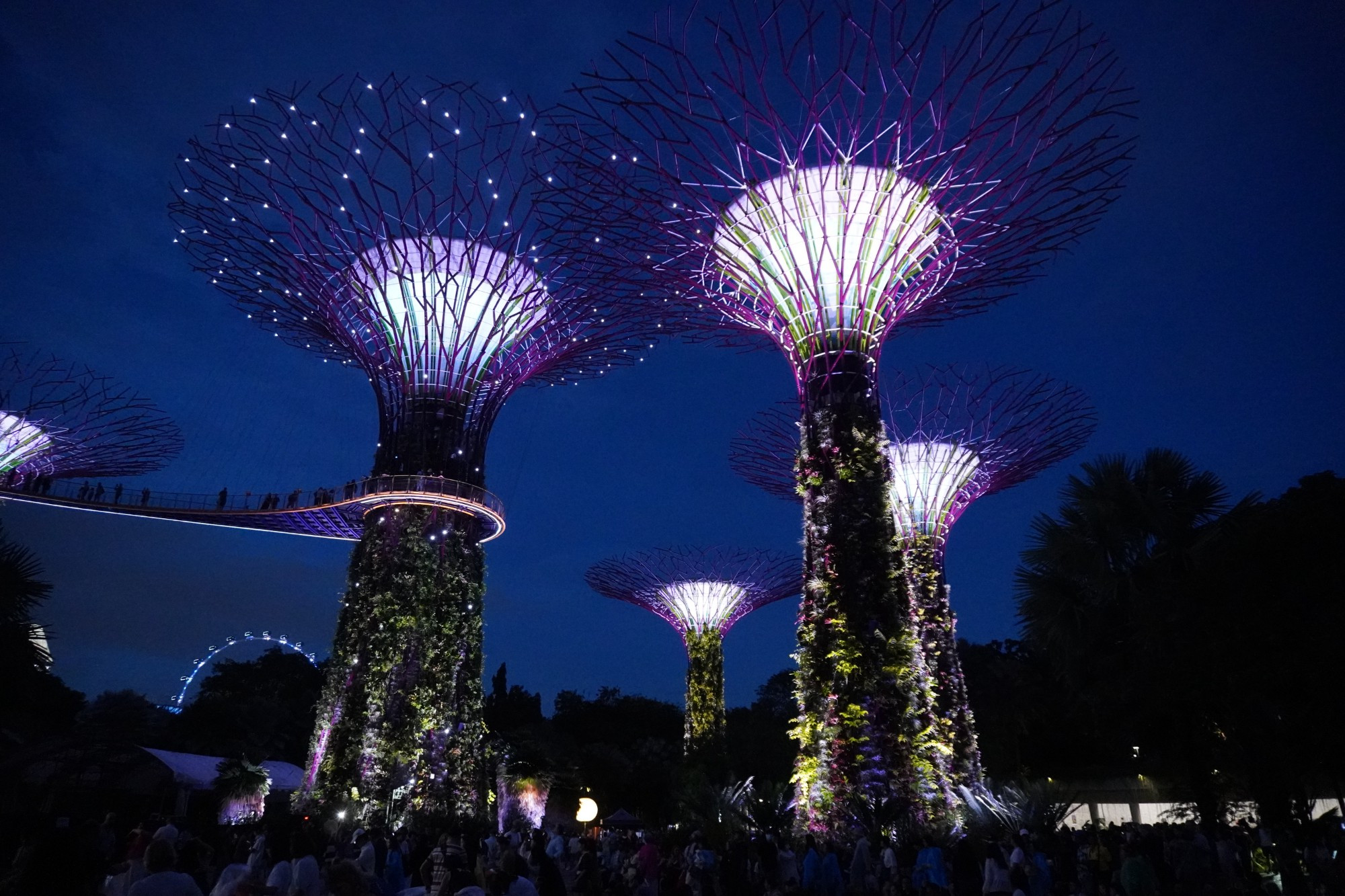 Сингапур. Парк Gardens by the Bay. (10.01.2024)