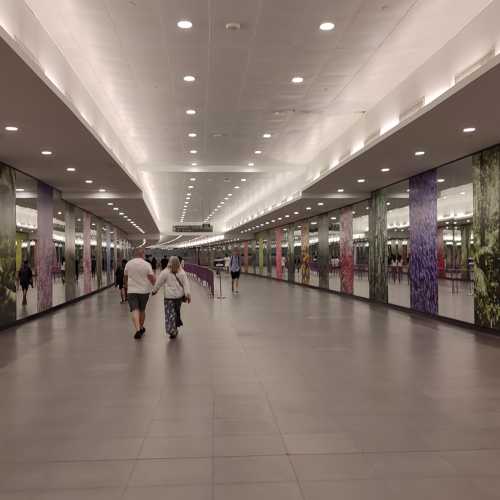 В метро Сингапура. (10.01.2024)