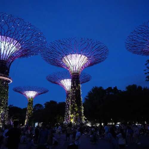 Сингапур. Парк Gardens by the Bay. (10.01.2024)