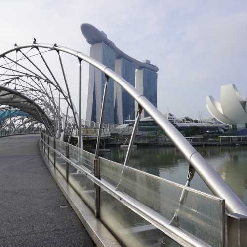 Сингапур. Мост Helix. (11.01.2024)