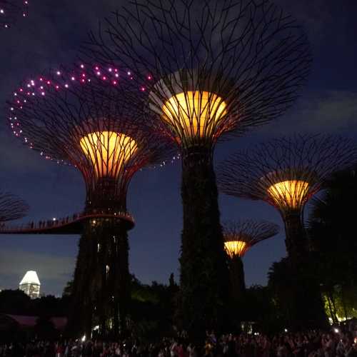 Сингапур. Световое шоу в парке Gardens by the Bay. (10.01.2024)