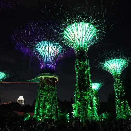 Сингапур. Световое шоу в парке Gardens by the Bay. (10.01.2024)