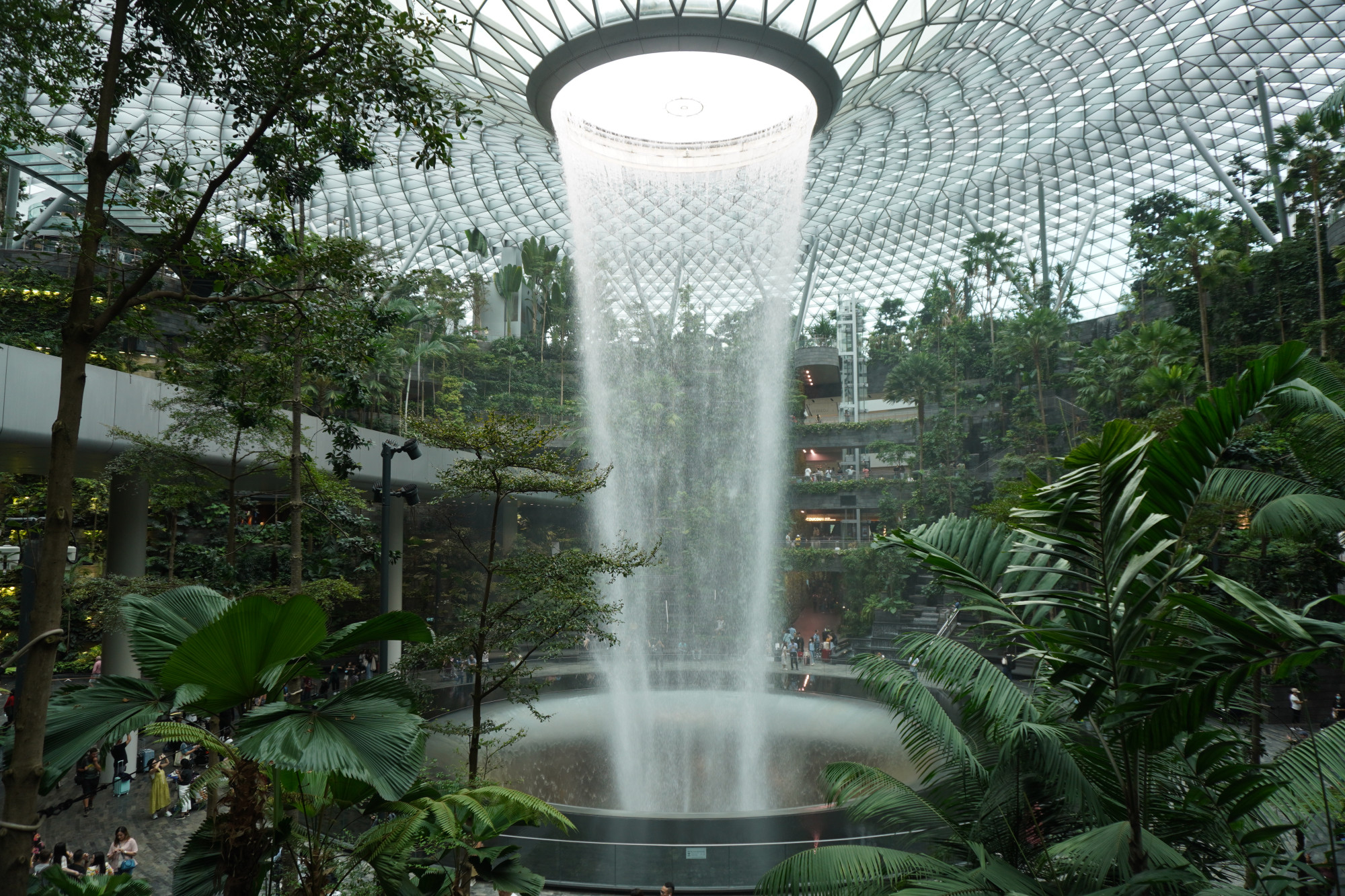 Сингапур. Аэропорт «Чанги». Комплекс Jewel. (11.01.2024)