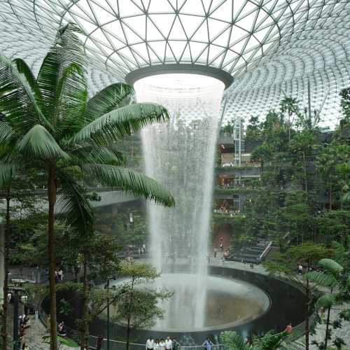 Сингапур. Аэропорт «Чанги». Комплекс Jewel. (11.01.2024)