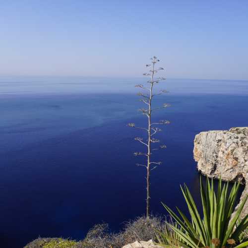 Blue Grotto, Malta