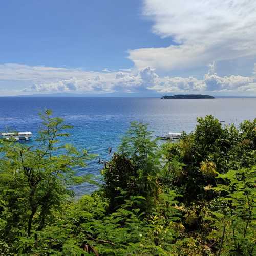 Oslob, Philippines