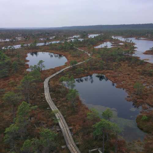 Кемерские болота, Латвия