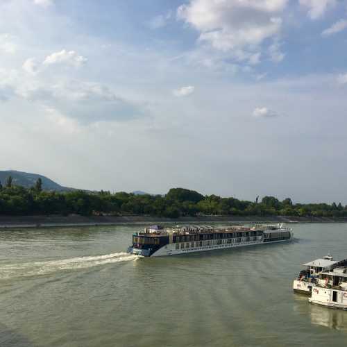 Остров Маргит — остров на Дунае в городе Будапеште. Остров расположен в центре города между двумя частями венгерской столицы — Будой и Пештом и соединяется с ними мостом Маргариты в южной части и мостом Арпада в северной.