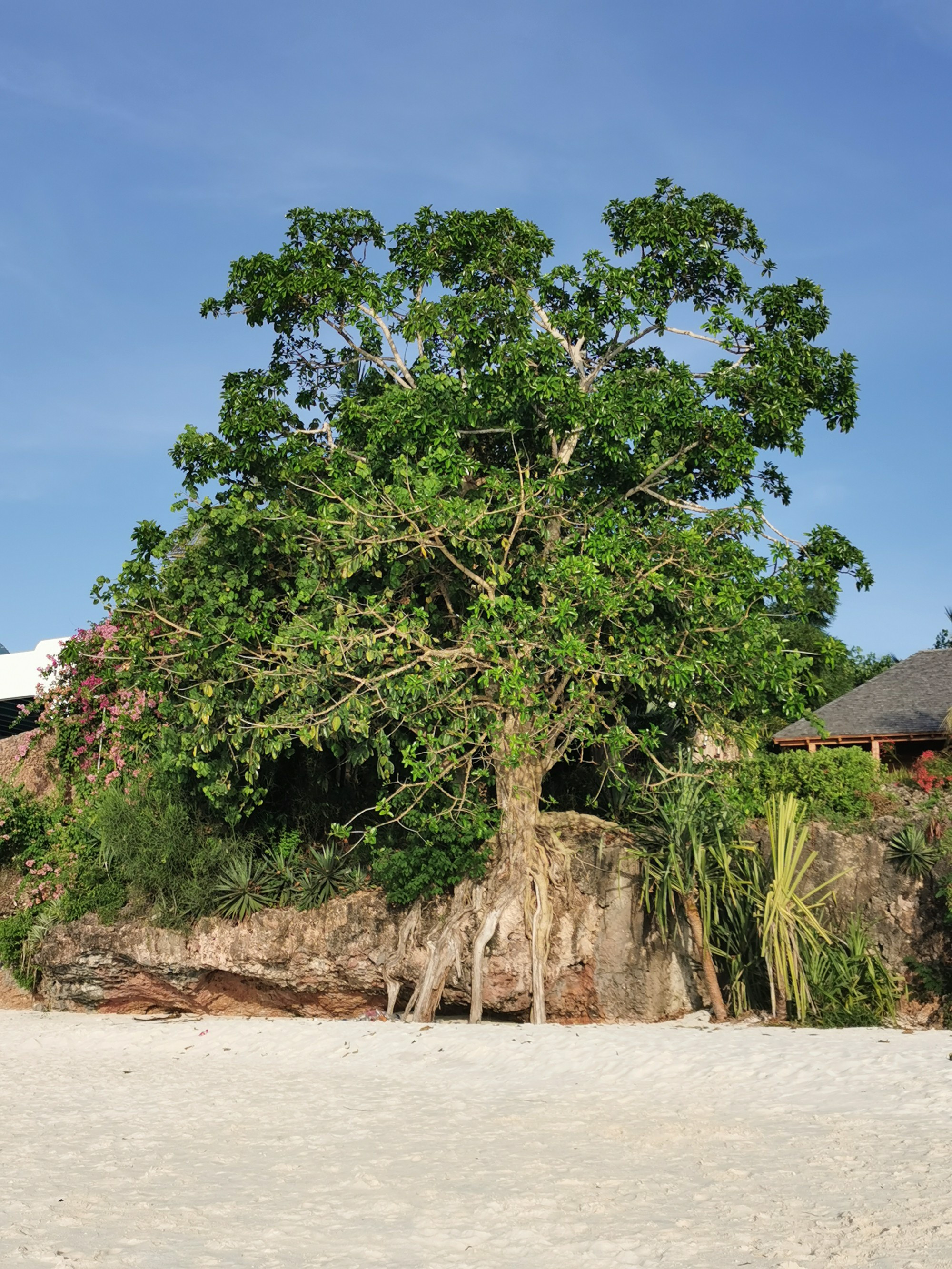 Tanzania