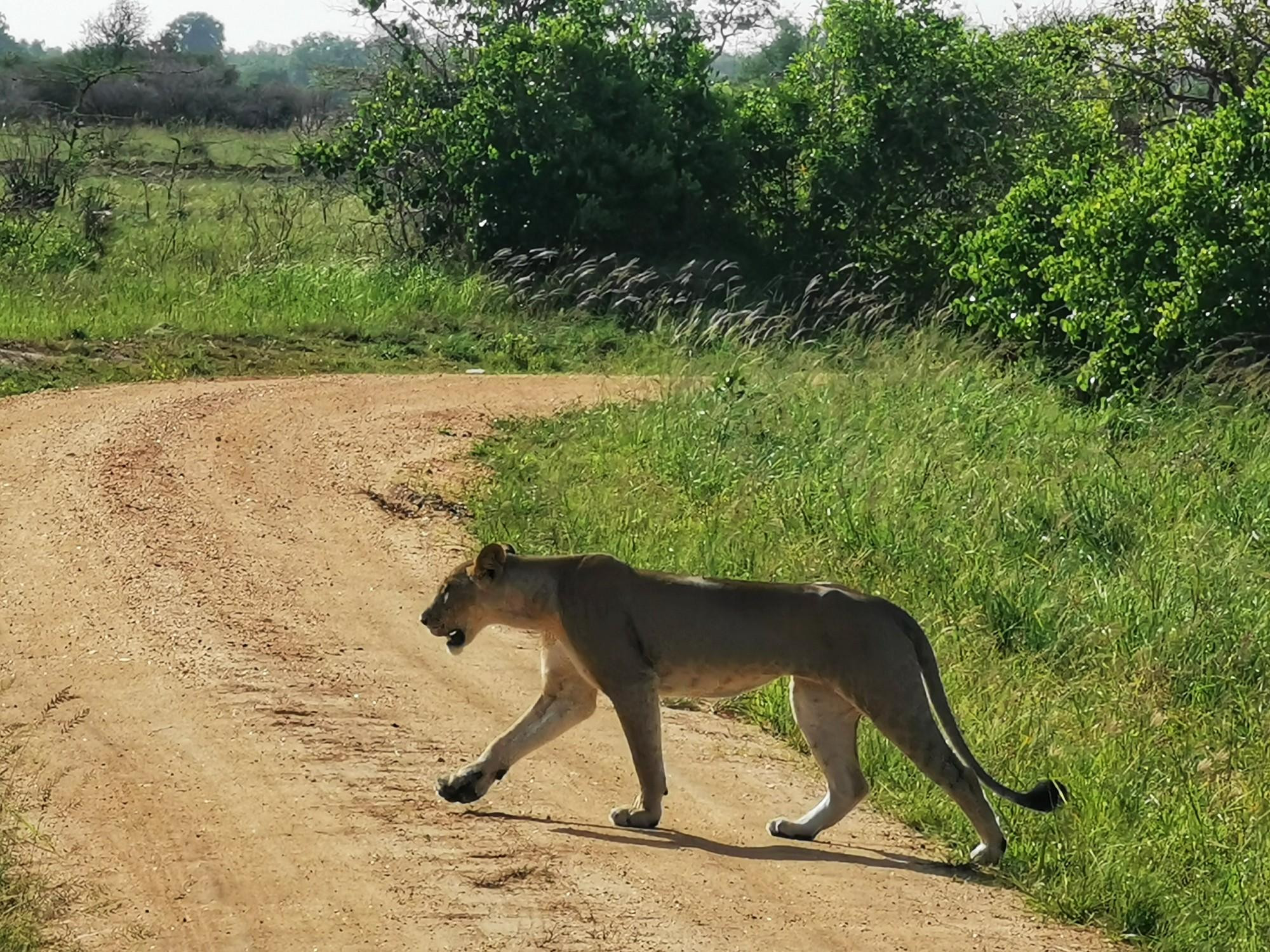 Tanzania