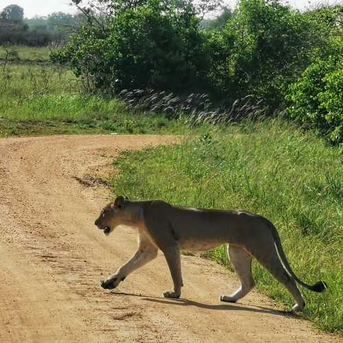 Tanzania