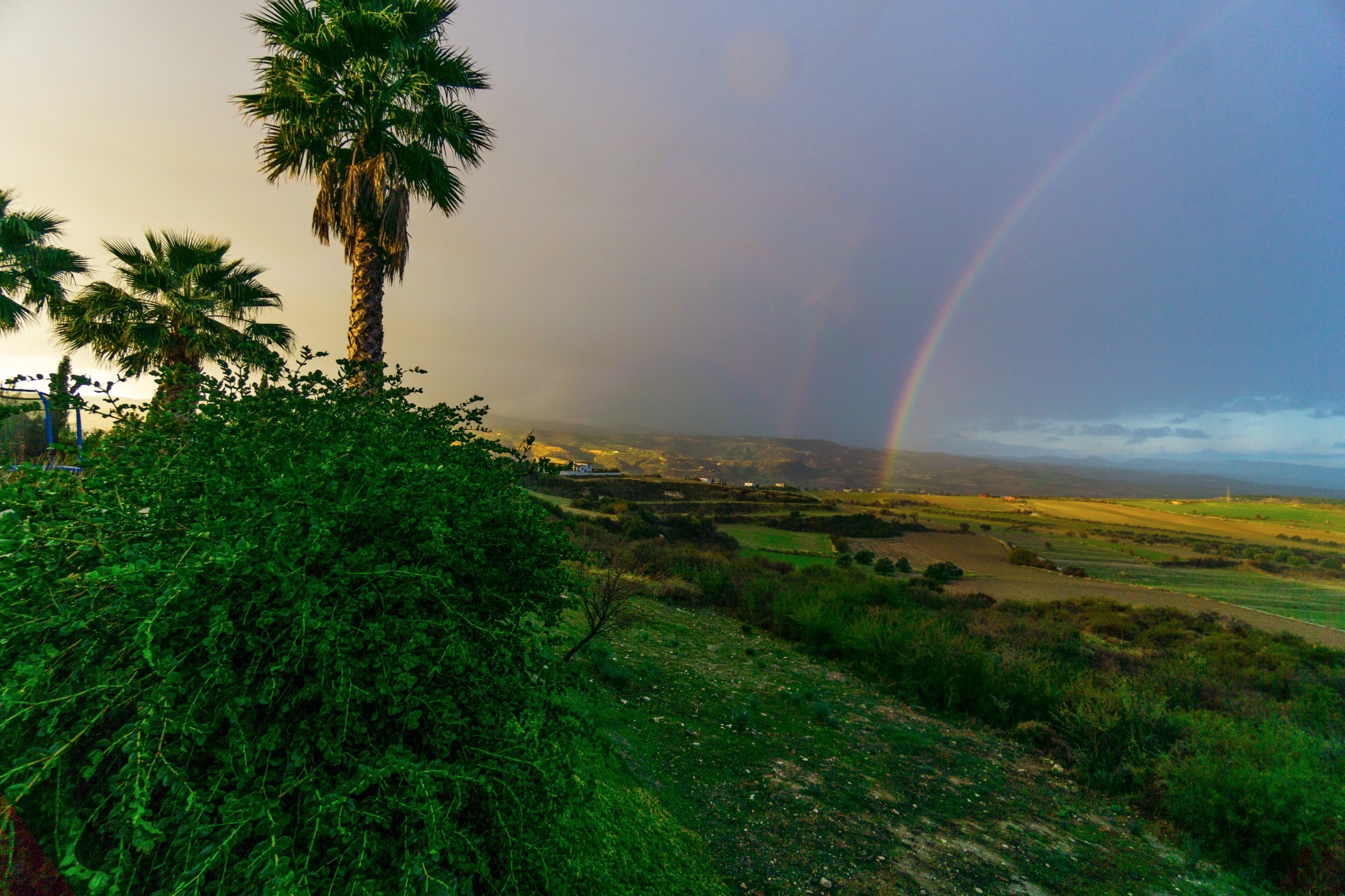 Cyprus in winter