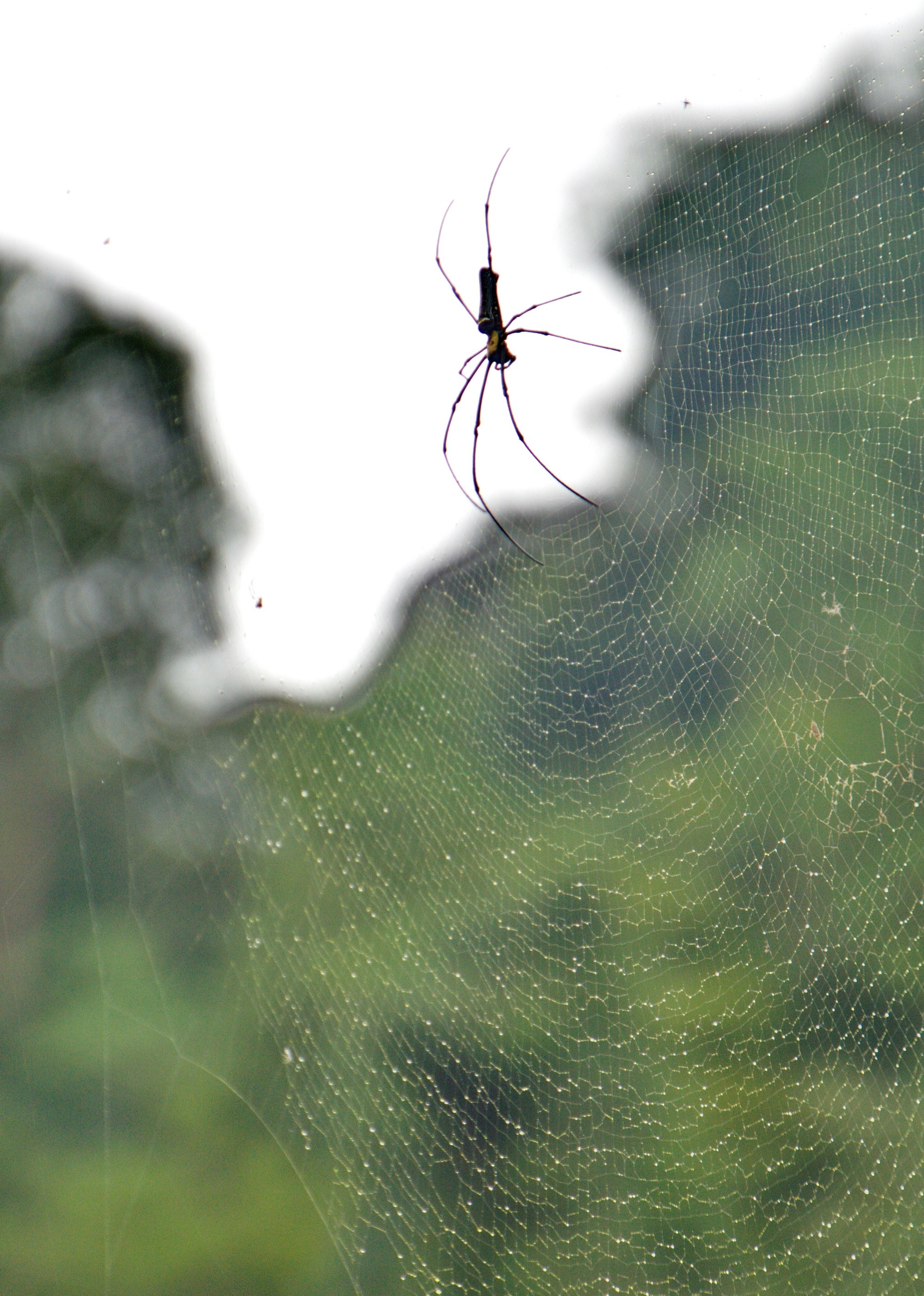 Malaysia