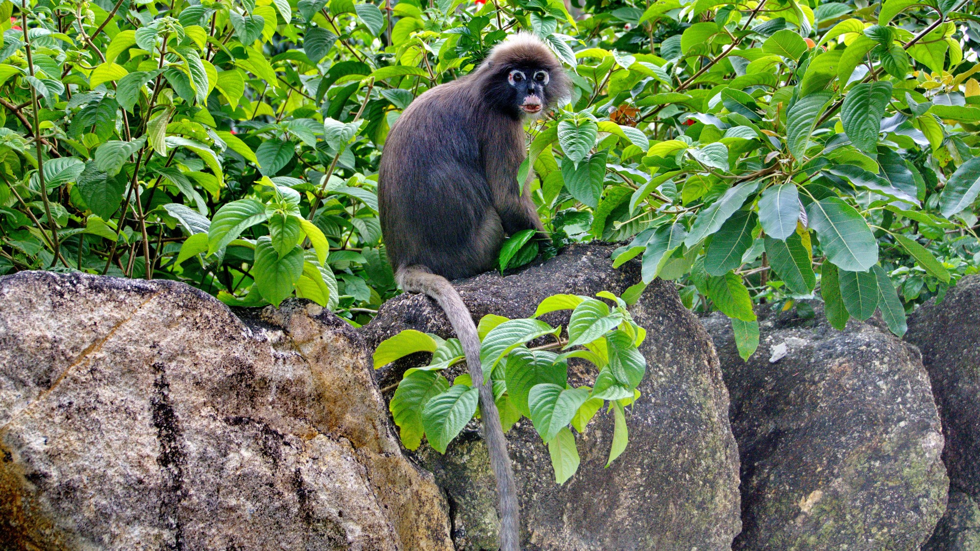 Malaysia