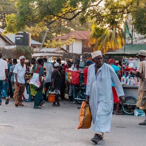 С покупками домой…<br/>
Рынок в Stone Town это что-то, а вечером так подавно, народ просто кишит