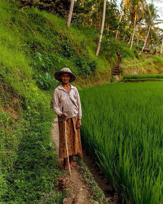 Обитатель рисовых террас Tegulalang #бали light nature portret #баливлицах 