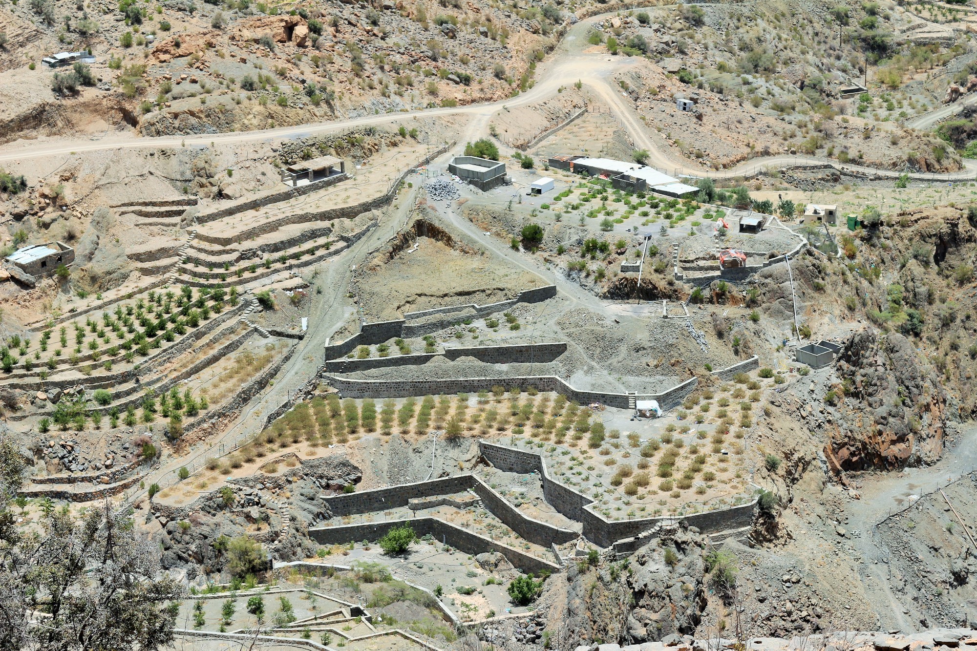 Jebel Akhdar, Oman