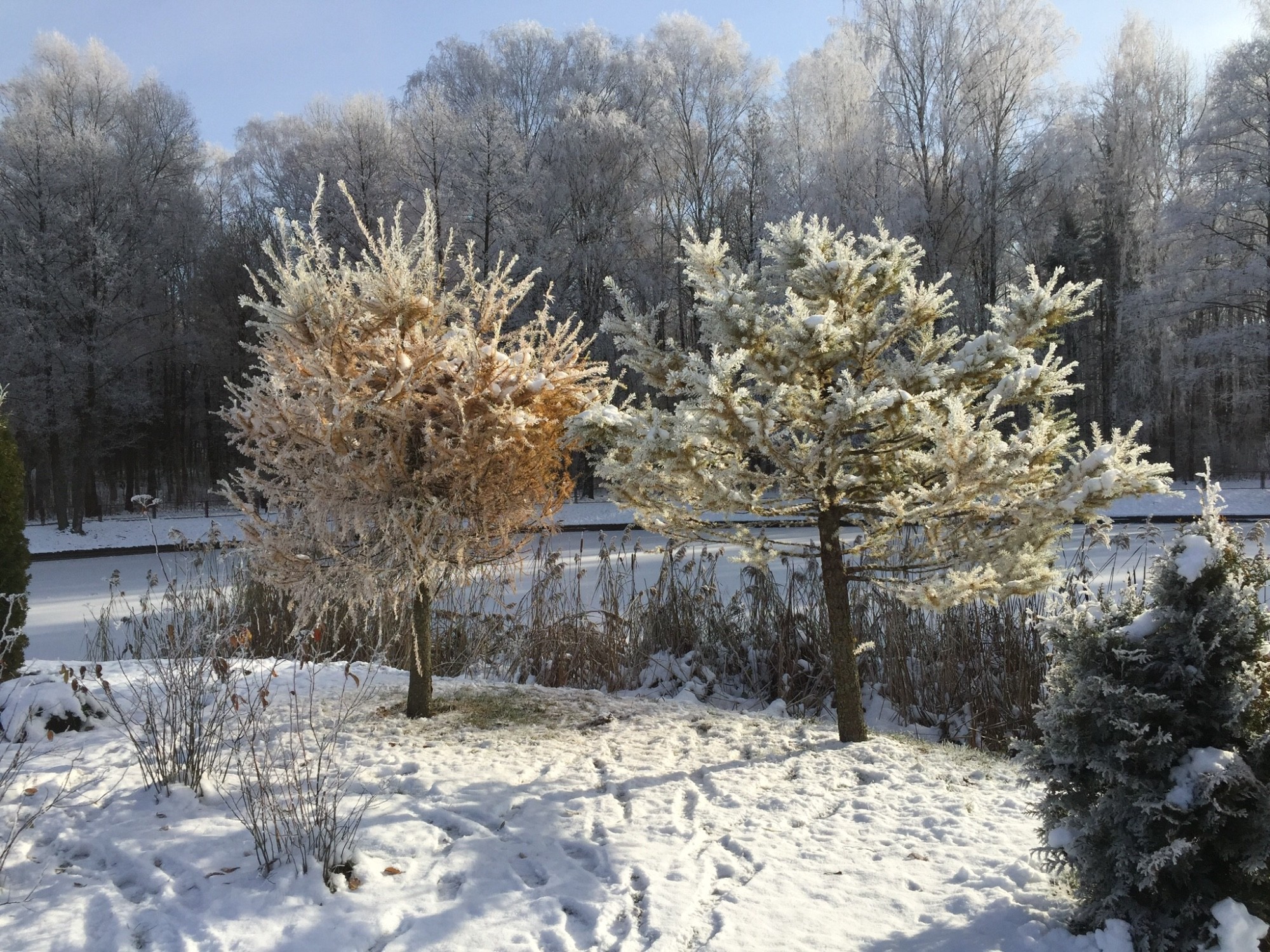 Belarus