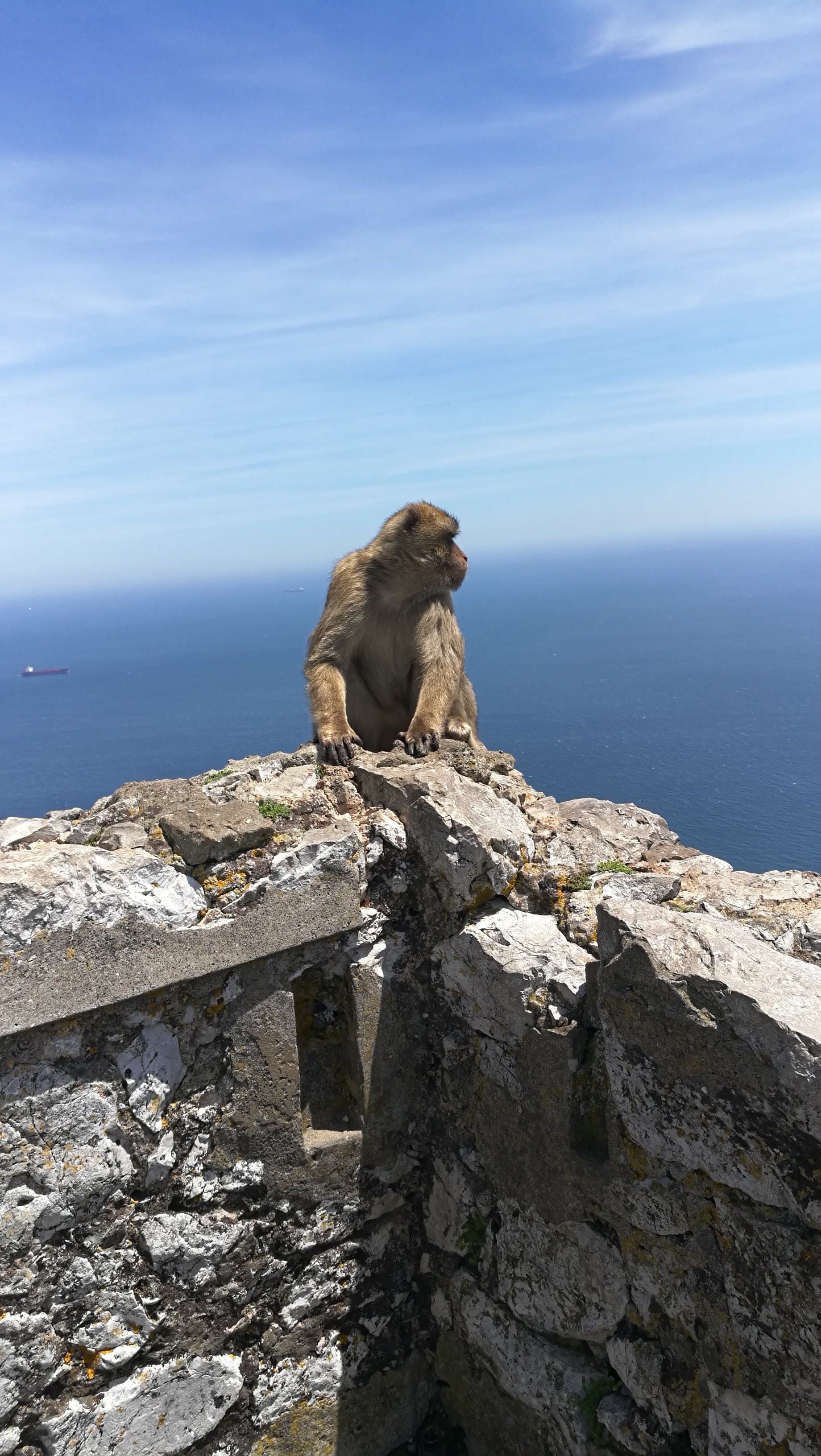 Gibraltar