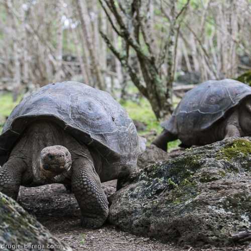 Ecuador