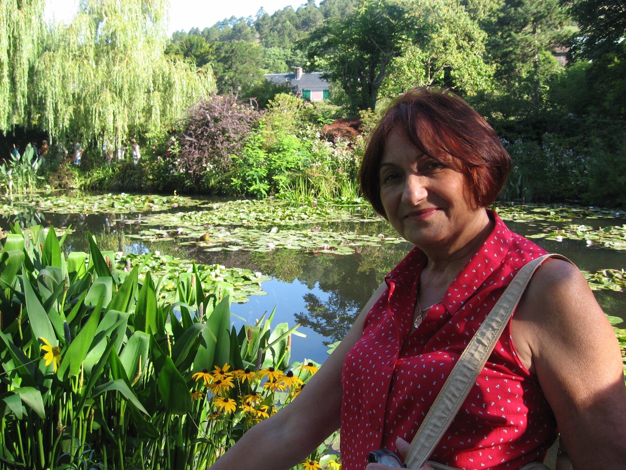 Лілії в озерах парку садиби Клода Мане в Жіверні