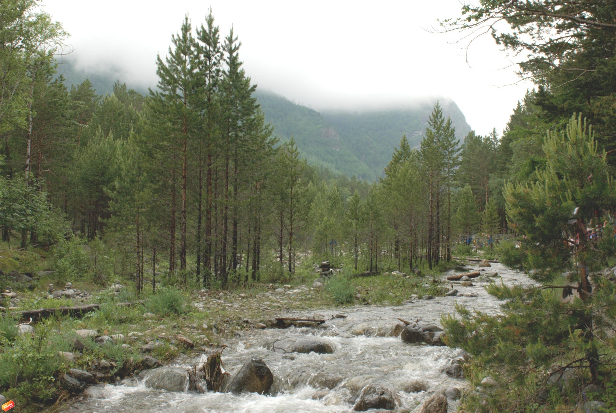 горная река Кынгырга (с. Аршан). 2015 г.