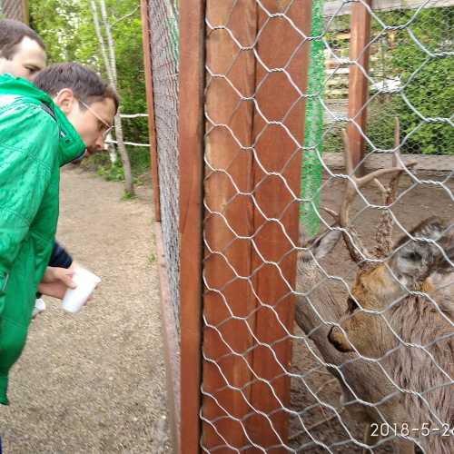 Контактный детский зоопарк, Russia