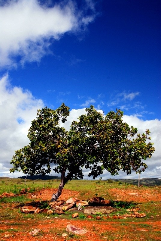 Guyana