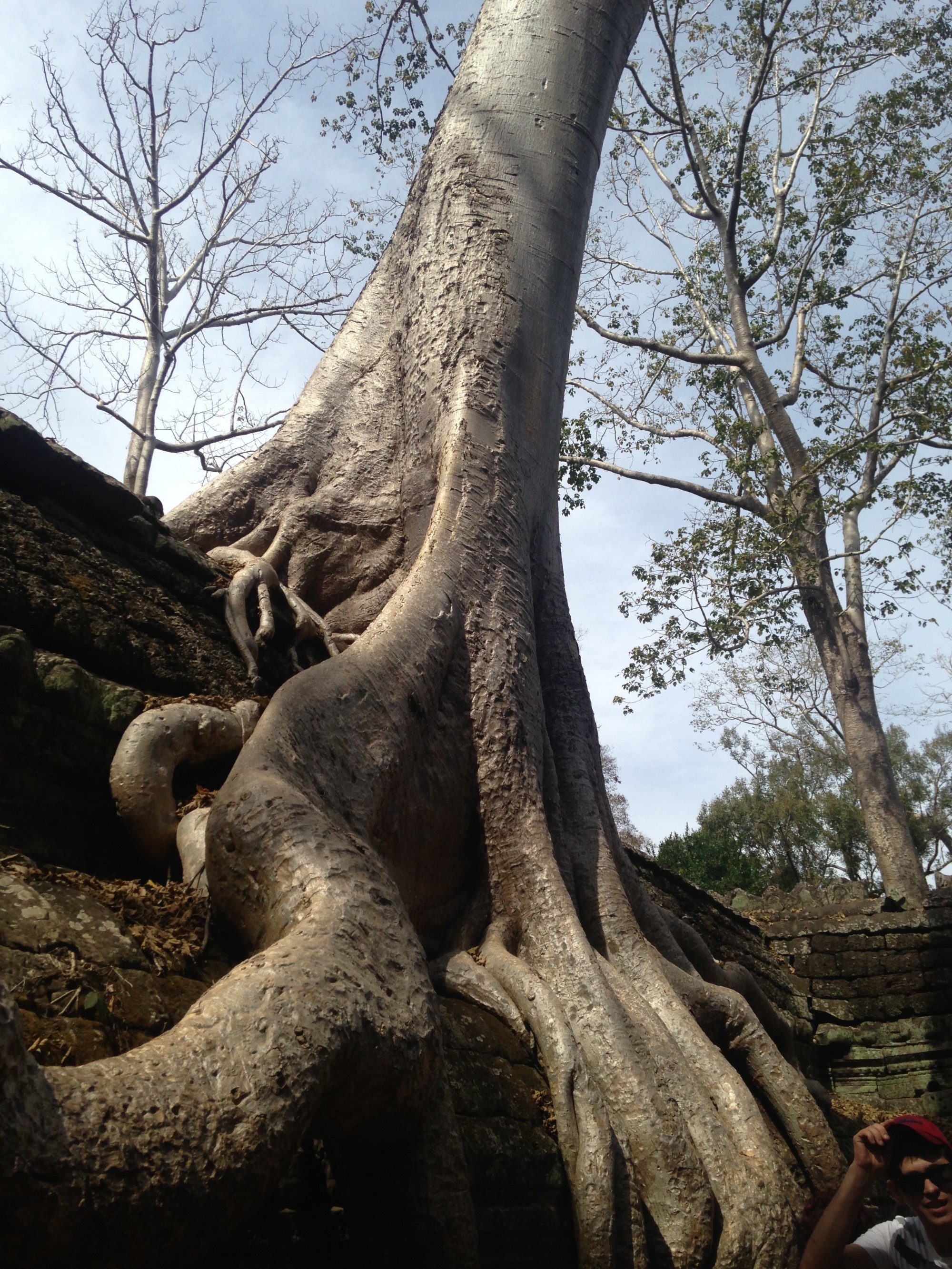 Angkor Wat, Cambodia