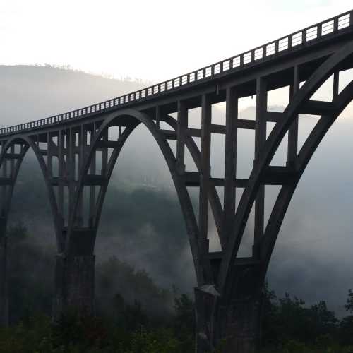 Мостът на Тара