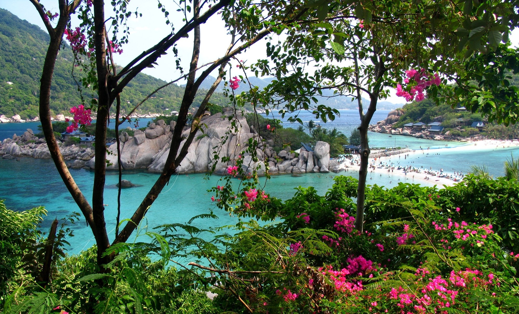 Koh Nangyuan