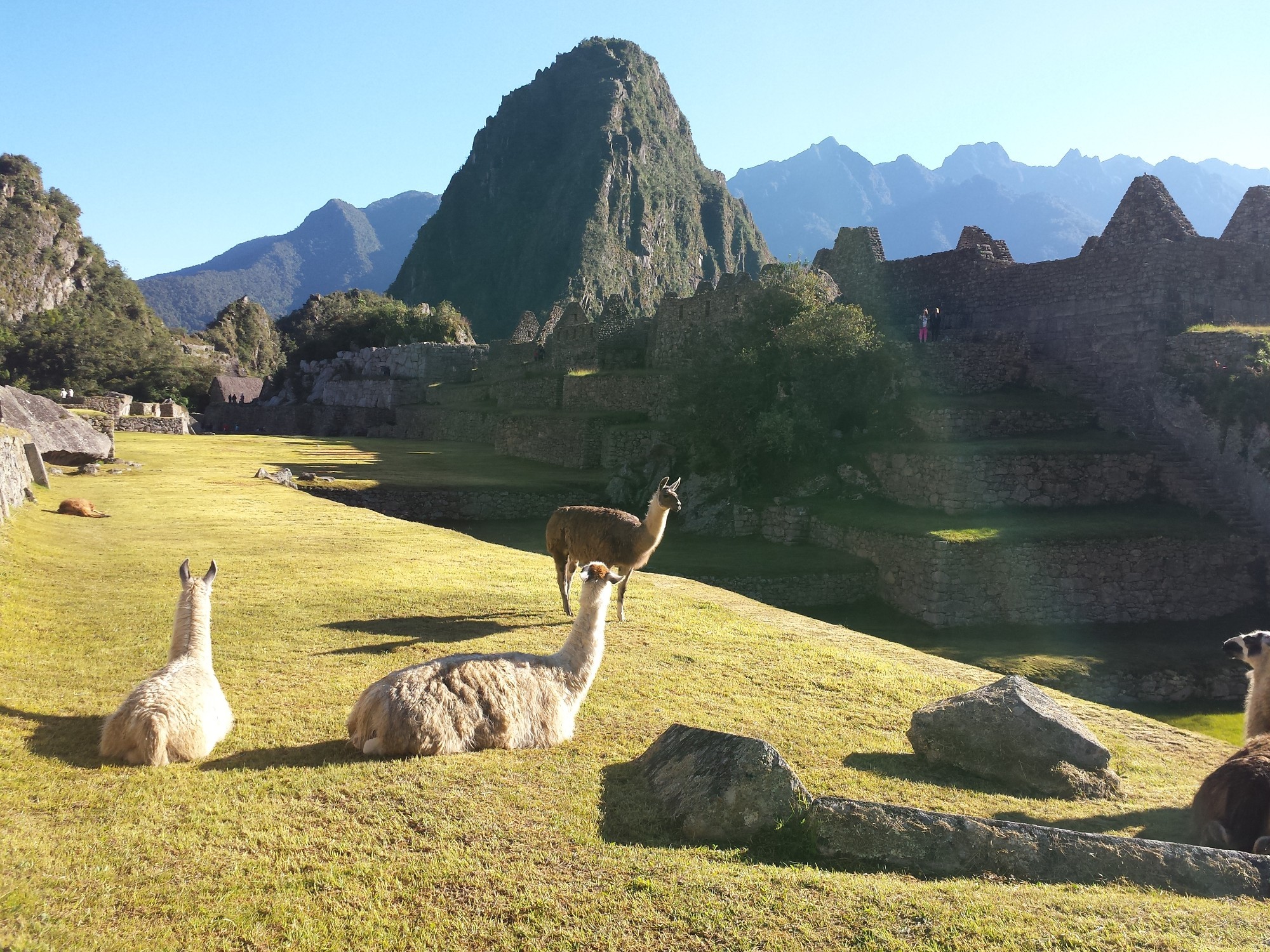 Machu Picchu, Peru