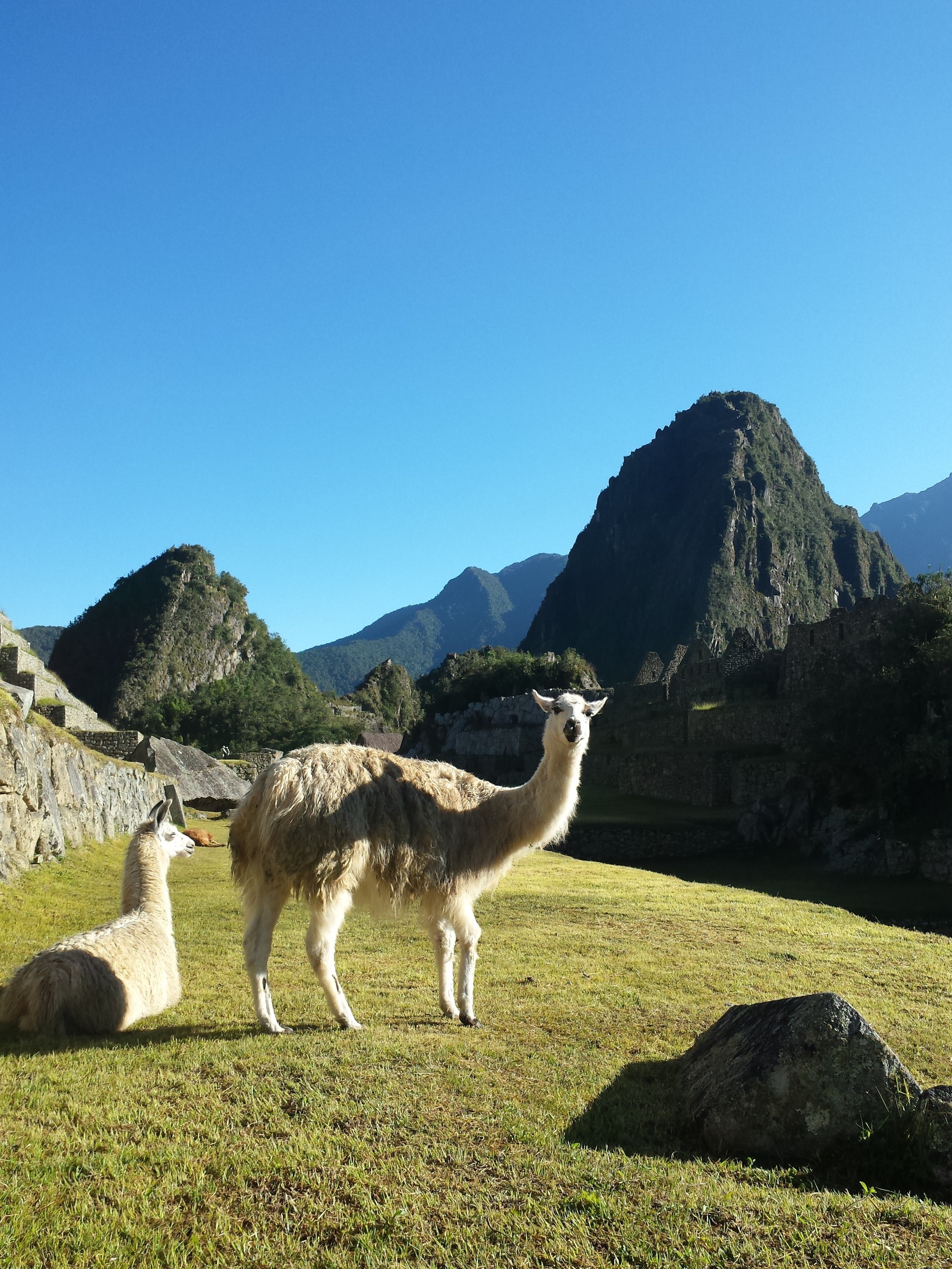 Machu Picchu, Peru