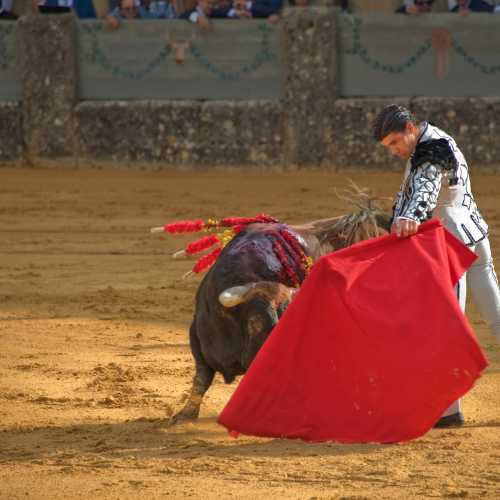 Арена боя быков, Испания