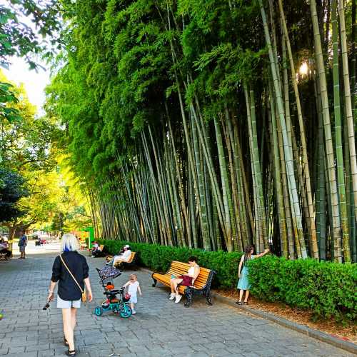 Батуми, Грузия