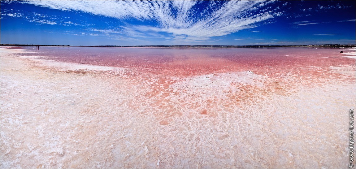 Salt Lake of Torrevieja, Spain