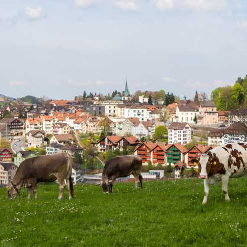 Херизау, Швейцария