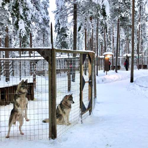 Huski Park, Финляндия