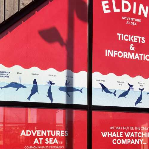 Elding Whale Watching - Ticket Office