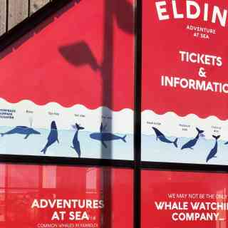 Elding Whale Watching - Ticket Office photo