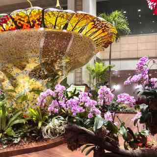 Terminal 2 Orchid Garden