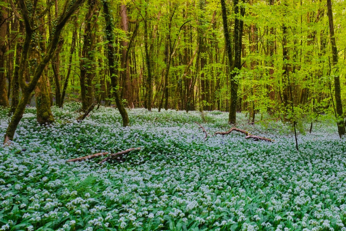 Kholodnyi Yar, Ukraine